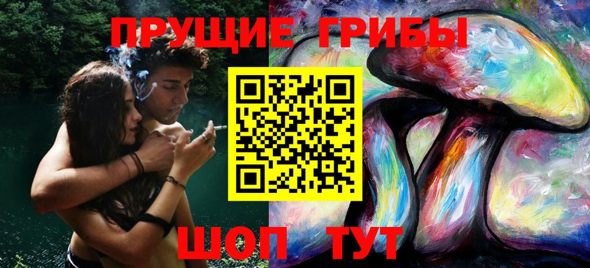 Псилоцибиновые грибы прущие грибы  Галлюциногенные грибы Magic Shrooms  Вход с VPN  что такое   Чернушка 